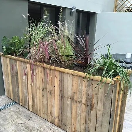 L'hetre Saint-Sébastien-sur-Loire