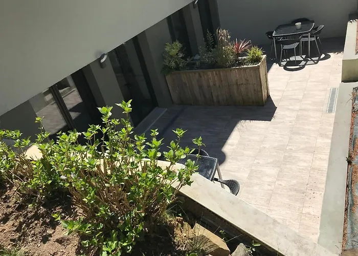 L'hetre Saint-Sébastien-sur-Loire